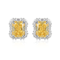 Radiant Cut Yellow Diamond Halo Studs